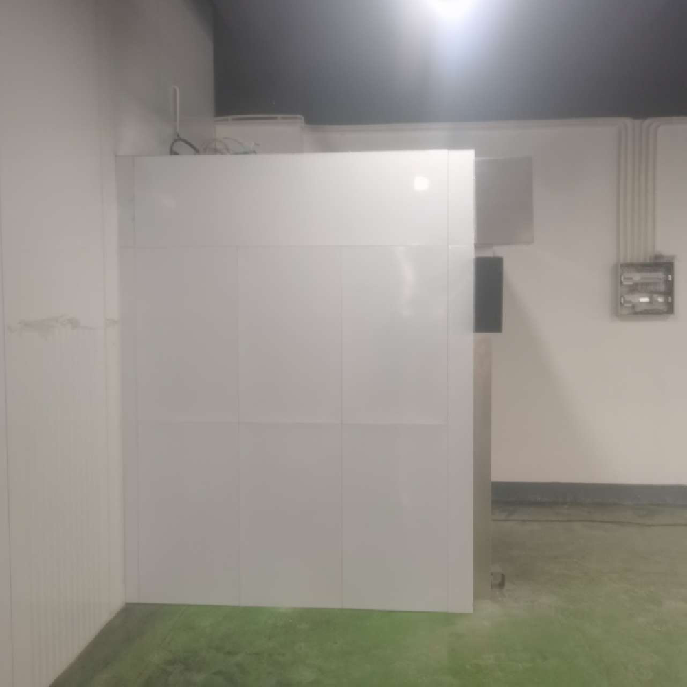 冷轧板卷帘门风淋室